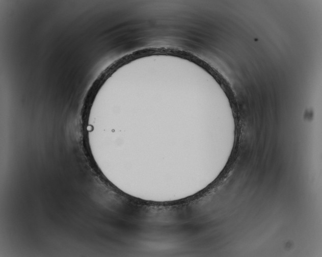 X0000103940927200809261722