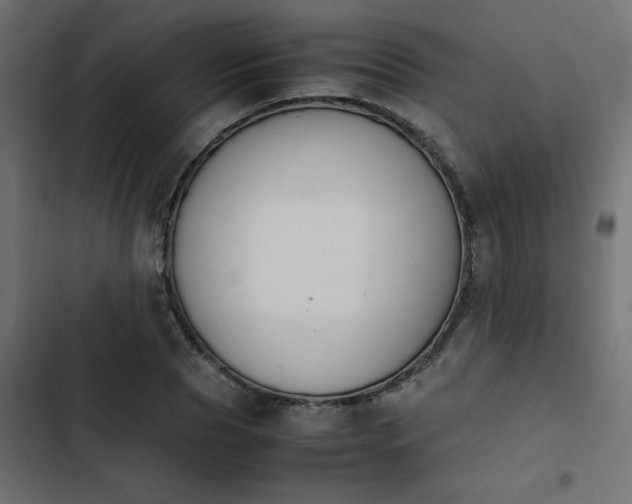 X0000103940929200809261722