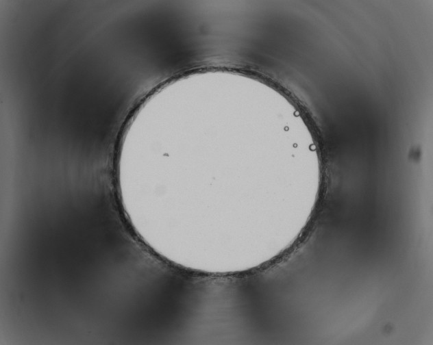 X0000103940930200809261722