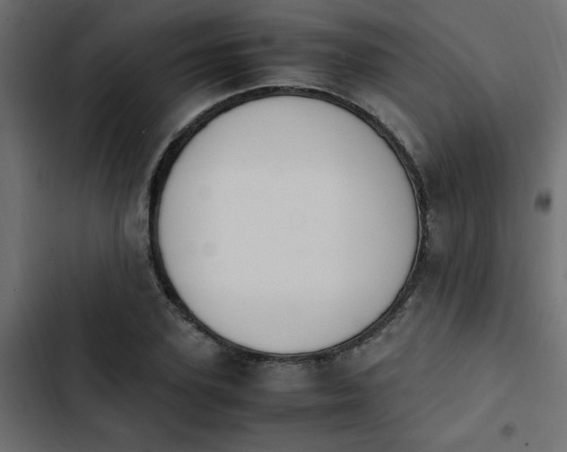 X0000103940931200809261722