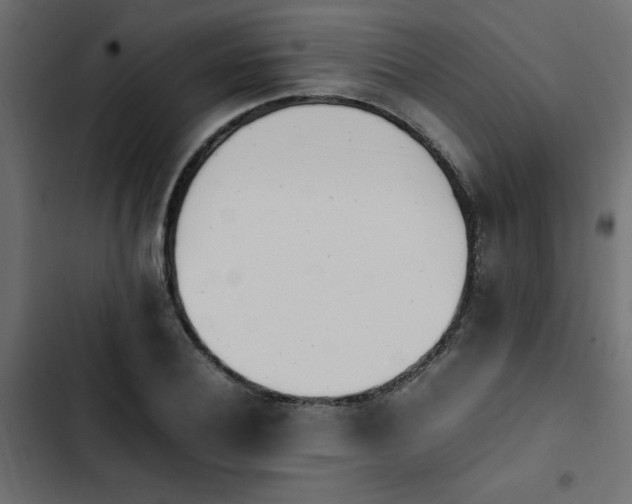 X0000103940932200809261722