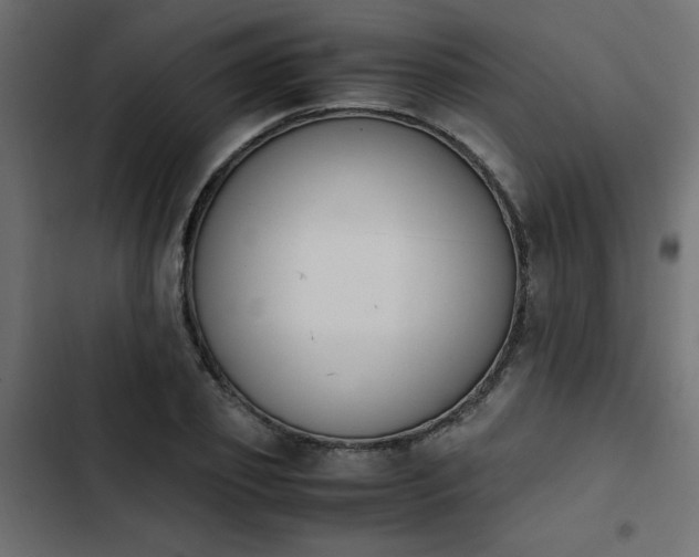 X0000103940933200809261722