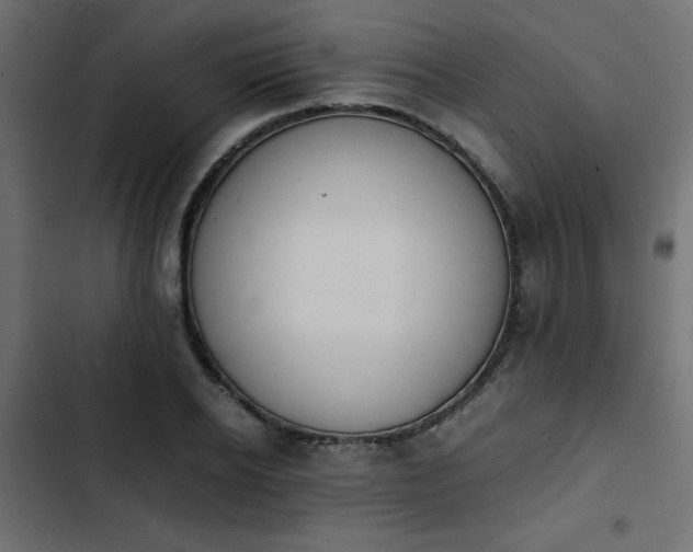 X0000103940934200809261722