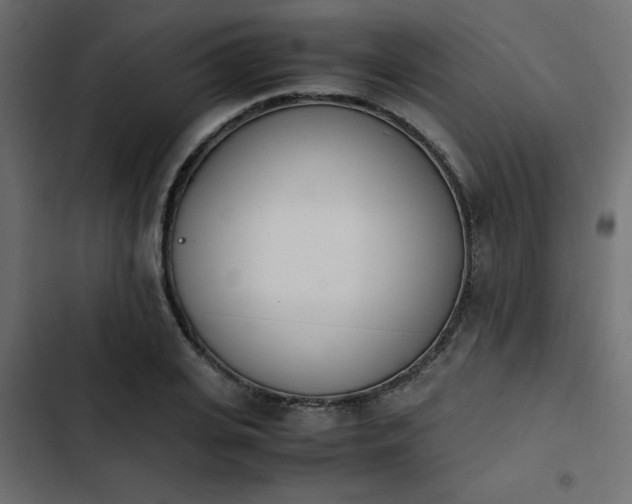 X0000103940935200809261722
