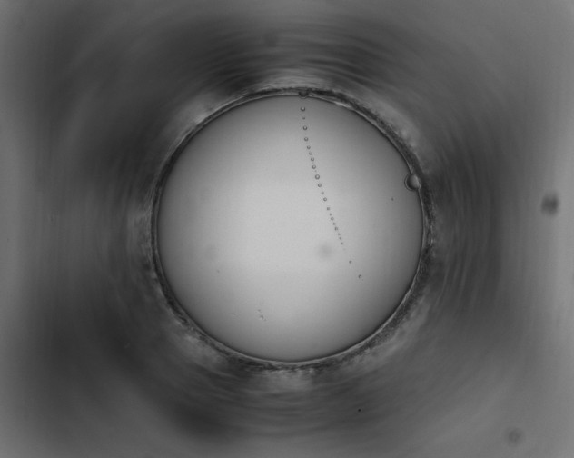 X0000103940937200809261722