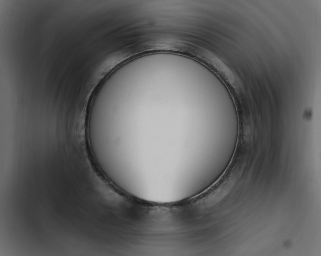 X0000103940938200809261722