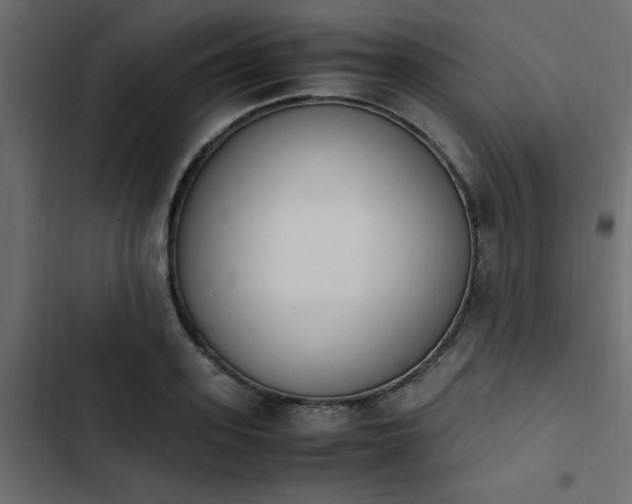 X0000103940939200809261722