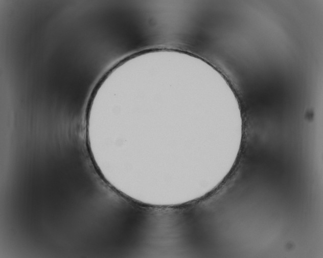 X0000103940940200809261722