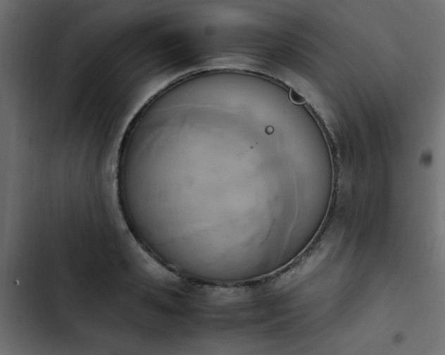 X0000103940941200809261722