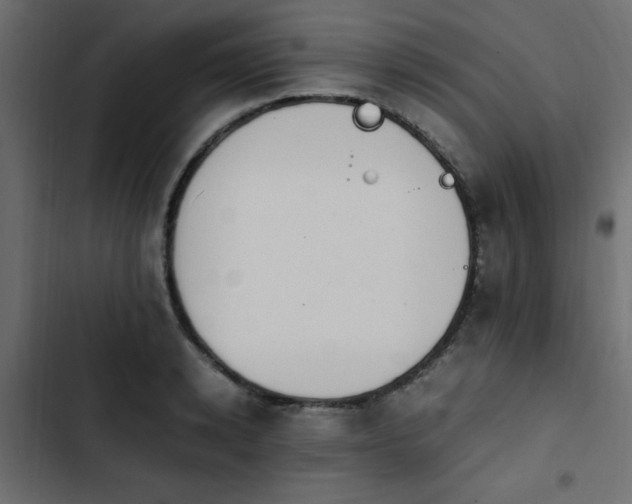 X0000103940942200809261722