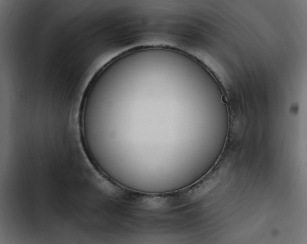 X0000103940943200809261722