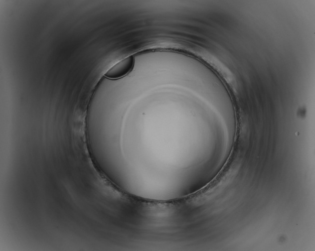 X0000103940945200809261722