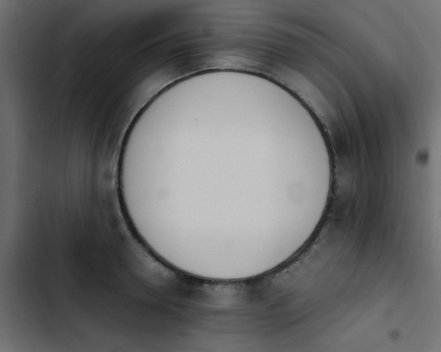 X0000103940946200809261722
