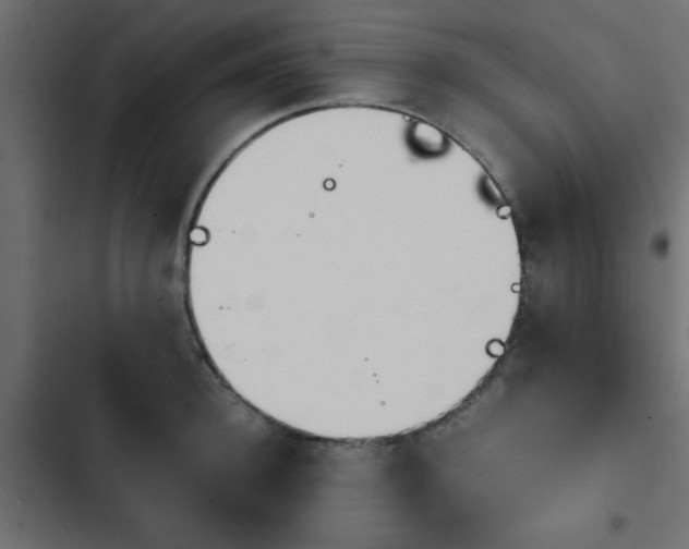 X0000103940948200809261722