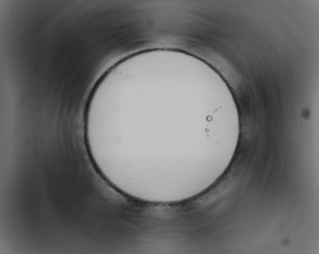 X0000103940950200809261722