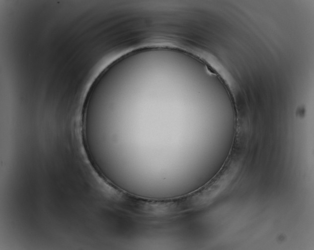 X0000103940951200809261722