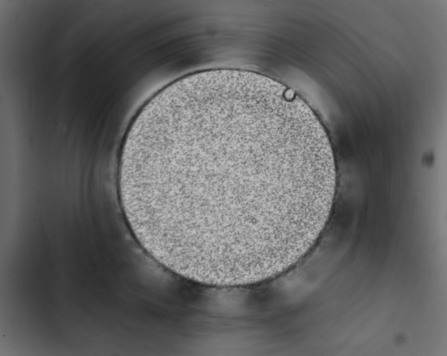 X0000103940952200809261722