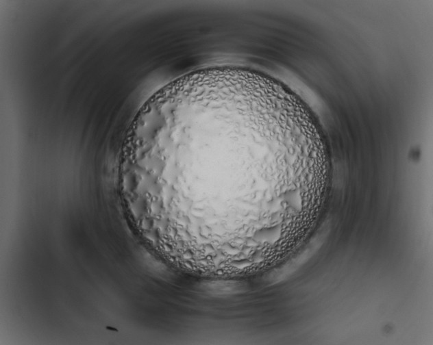 X0000103940953200809261722