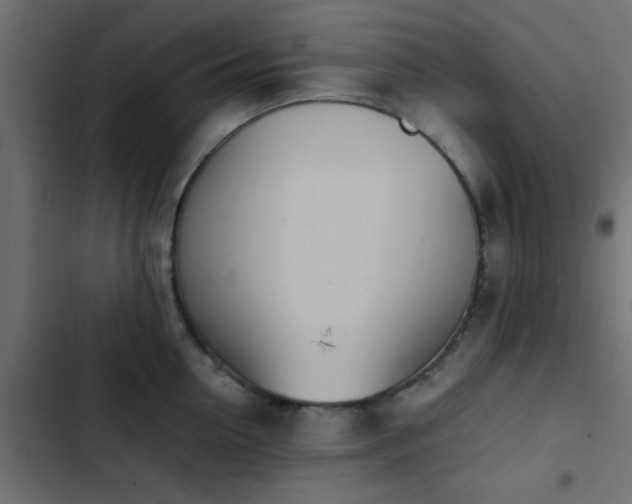 X0000103940954200809261722