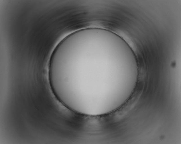 X0000103940955200809261722