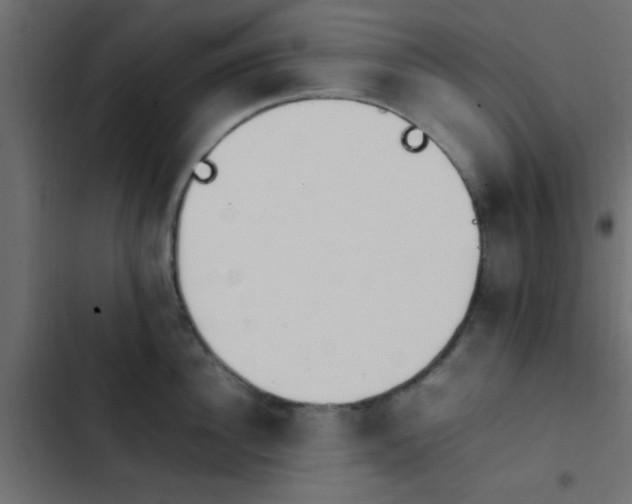 X0000103940956200809261722
