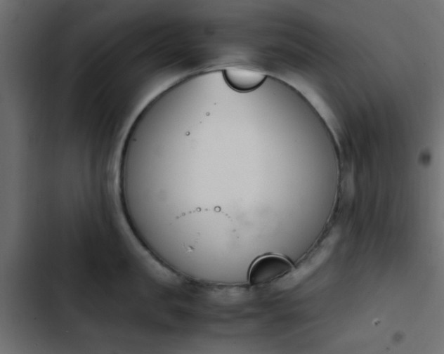 X0000103940957200809261722