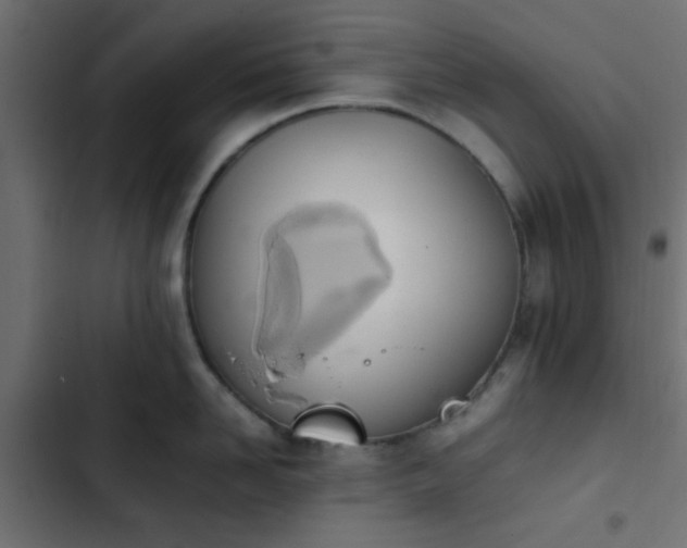 X0000103940958200809261722