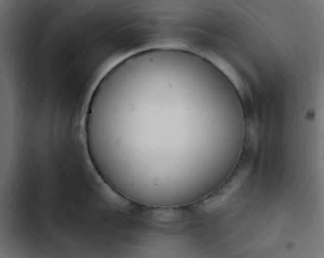 X0000103940959200809261722