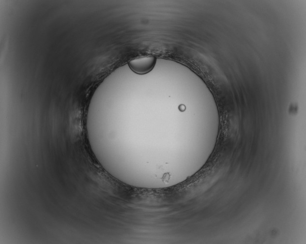 X0000103940962200809261722