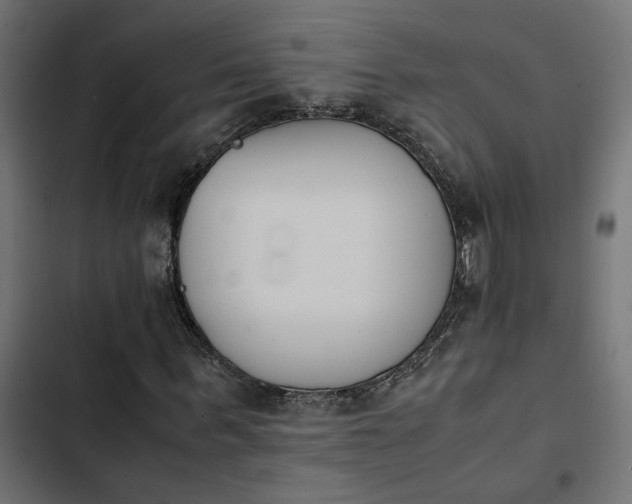 X0000103940963200809261722