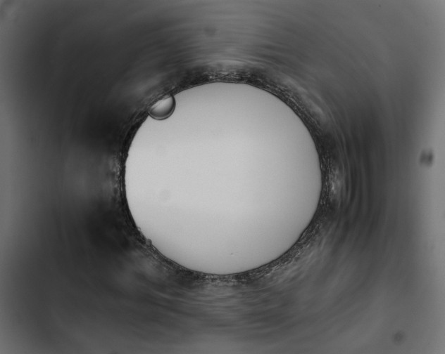 X0000103940964200809261722
