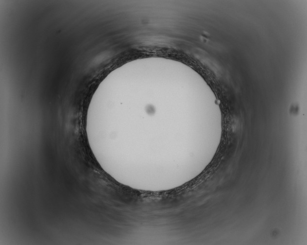 X0000103940965200809261722