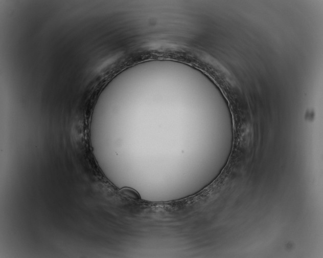 X0000103940966200809261722