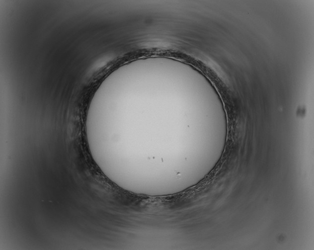 X0000103940967200809261722