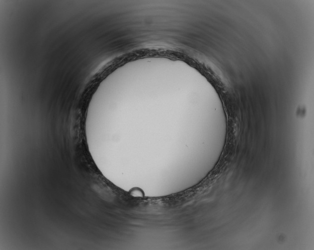 X0000103940968200809261722