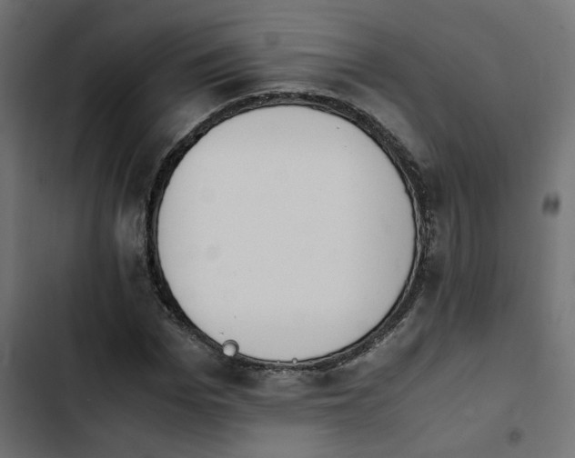 X0000103940969200809261722