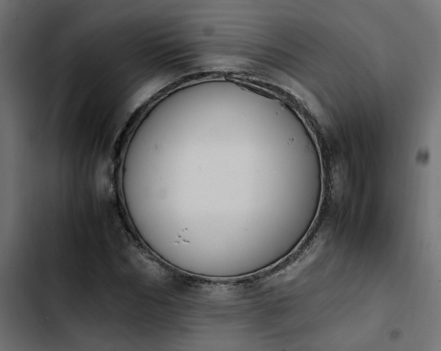 X0000103940970200809261722