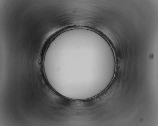 X0000103940971200809261722