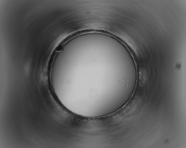 X0000103940972200809261722