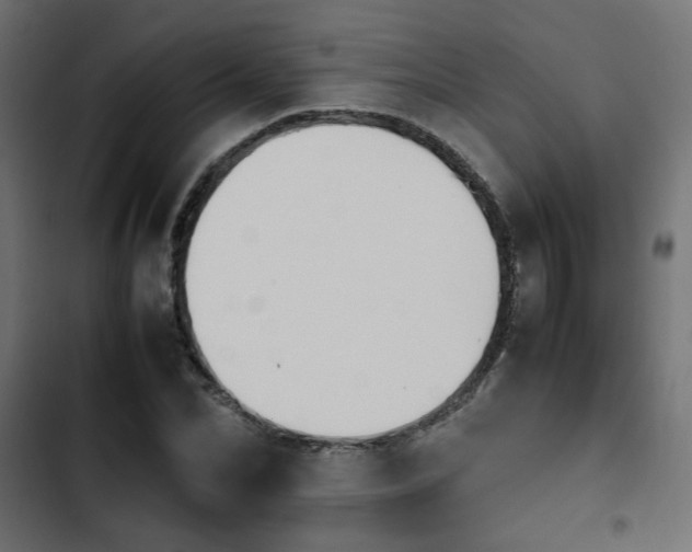 X0000103940974200809261722