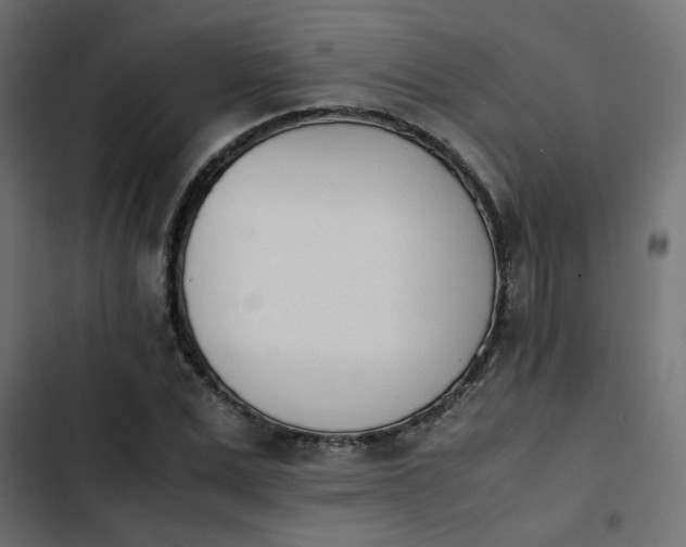 X0000103940975200809261722