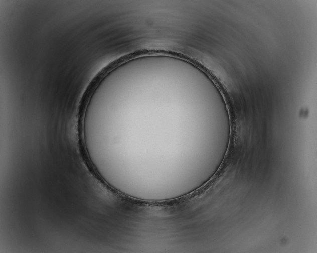X0000103940976200809261722
