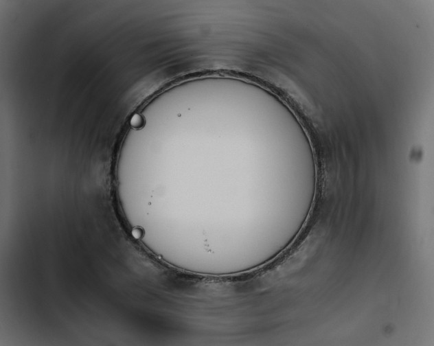 X0000103940977200809261722