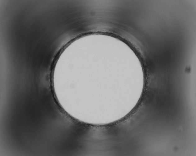 X0000103940978200809261722