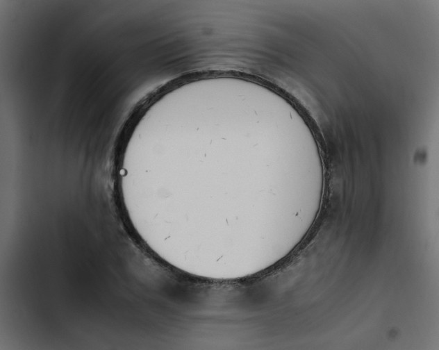 X0000103940979200809261722