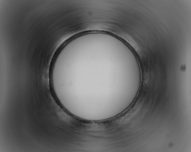 X0000103940980200809261722