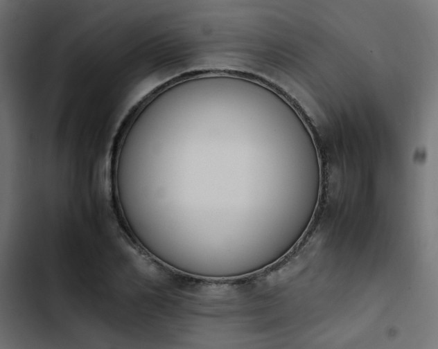 X0000103940982200809261722