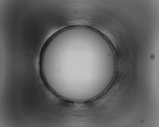 X0000103940983200809261722