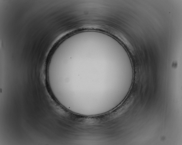 X0000103940984200809261722