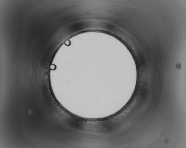 X0000103940985200809261722